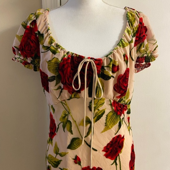 Rare London Rose Devore burnout velvet maxi dress coquette Sz 8 NWT - Picture 8 of 16